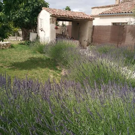 Alamar Ii Séjour à la campagne Tiedra