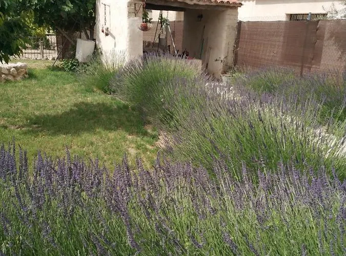 Alamar Ii منزل ريفي Tiedra